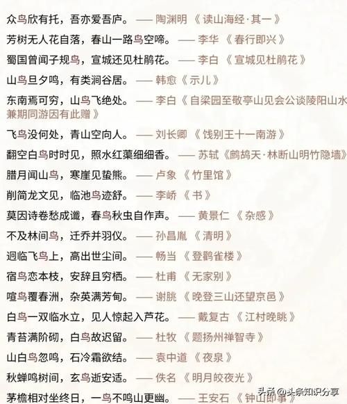 描写鸟儿的词语有哪些_如何运用四字词语写活飞鸟