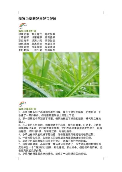 形容草安静的词语有哪些_草安静的诗意表达