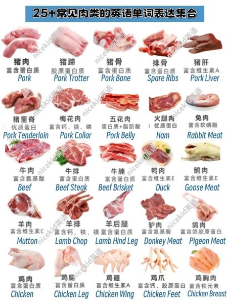 肉啥词语_肉啥词语有哪些