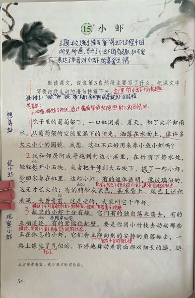 小虾的积累词语有哪些_如何高效记忆