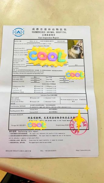 带猫移民需要哪些手续_带猫出国要多少钱