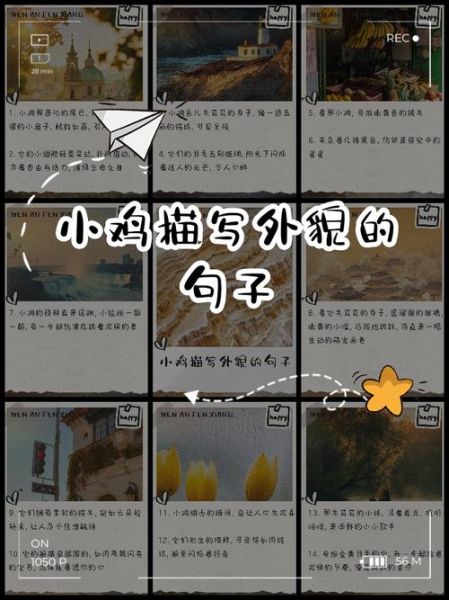 描写小鸡样子的词语有哪些_怎么用