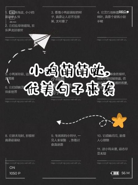 描写小鸡样子的词语有哪些_怎么用