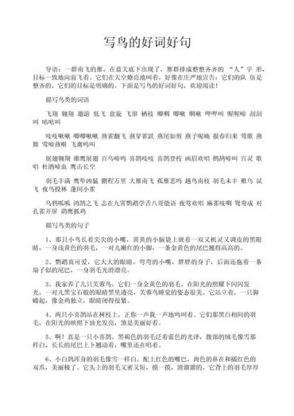 形容鸟儿极快的词语有哪些_如何用在作文里