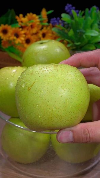 梨口感怎么样_梨好吃吗