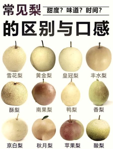 梨口感怎么样_梨好吃吗