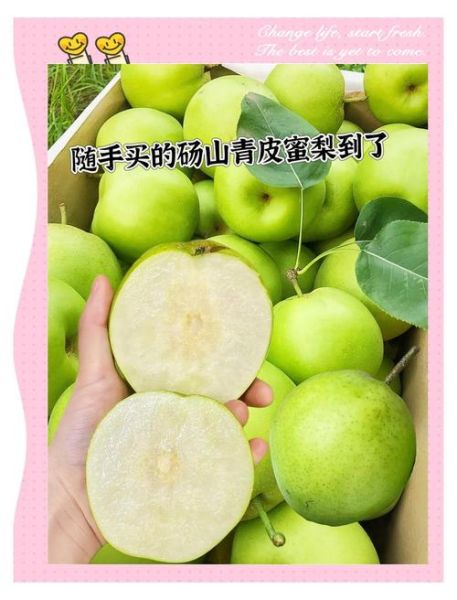 梨口感怎么样_梨好吃吗