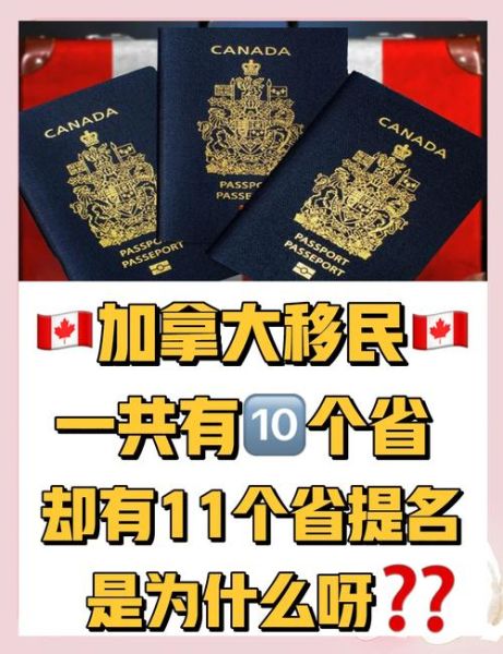 加拿大王子岛移民条件_如何申请省提名