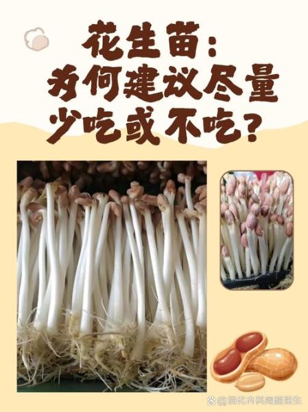 花生怎么保存不生虫_花生发芽还能吃吗