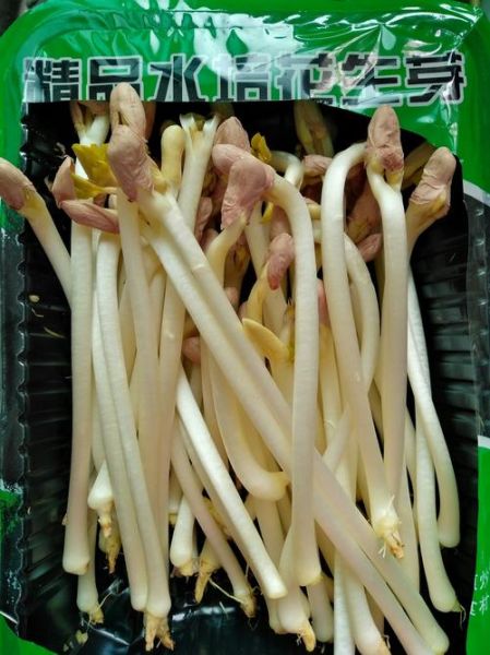 花生怎么保存不生虫_花生发芽还能吃吗