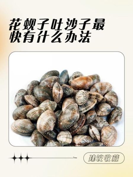蚬子怎么吐沙_蚬子焯水多久才熟