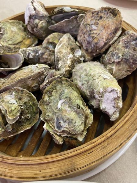 海蛎子怎么清洗_海蛎子蒸多久才熟