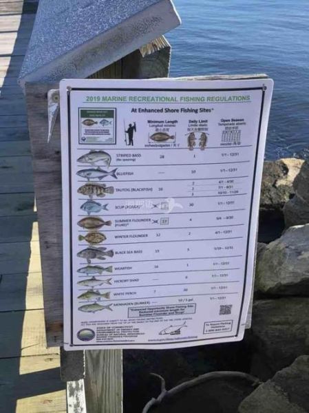 波士顿移民政策_波士顿移民申请流程