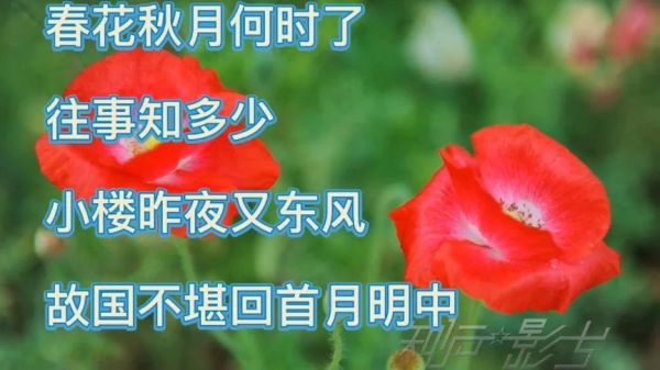 春池在哪里_春池有什么传说