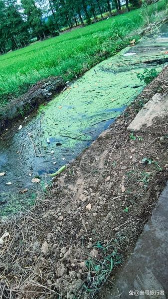 河流浑浊是什么原因_如何快速变清