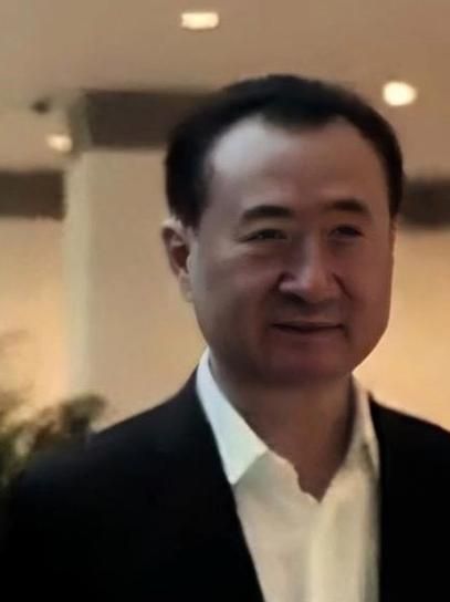 王建林移民_王建林移民美国了吗