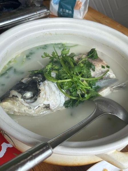 清炖鱼怎么做_清炖鱼用什么鱼最好