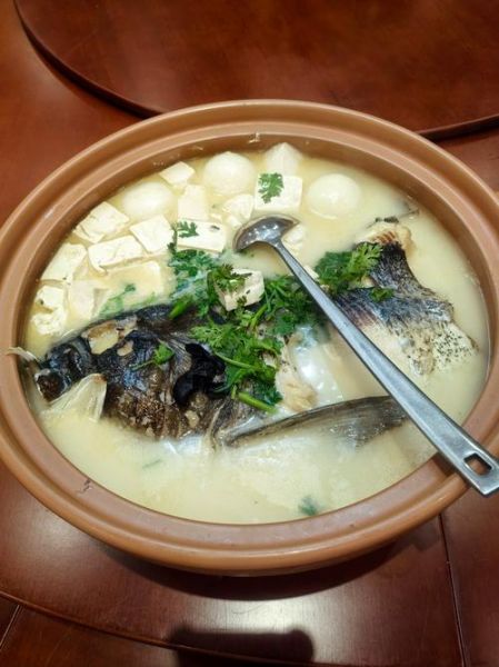 清炖鱼怎么做_清炖鱼用什么鱼最好