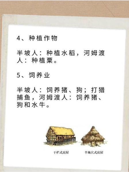 du qi是什么意思_du qi的用法有哪些