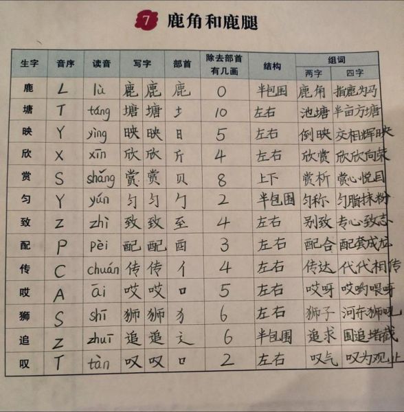 腿词语有哪些_腿词语怎么分类