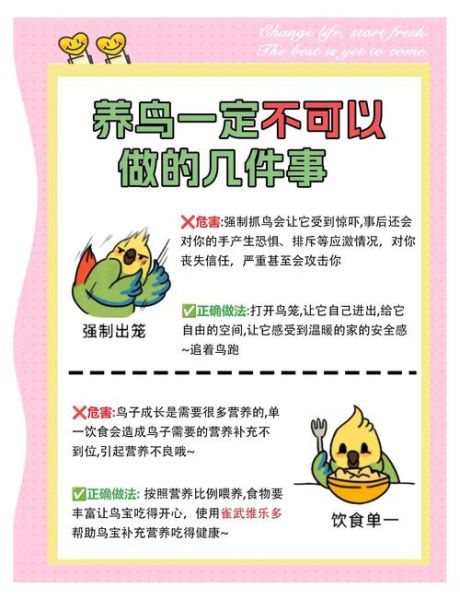 鸟一直叫个不停怎么办_如何让它安静下来