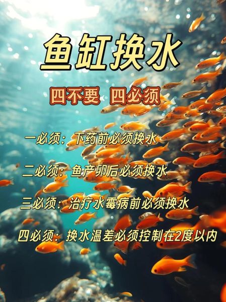 小鱼怎么养才能活得久_小鱼缸多久换一次水