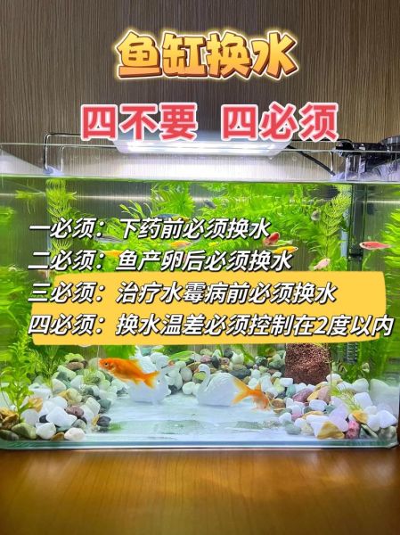 小鱼怎么养才能活得久_小鱼缸多久换一次水