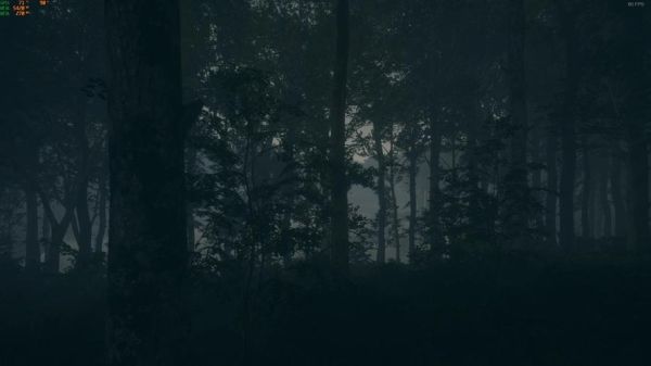 夜晚森林有什么声音_夜晚森林安全吗