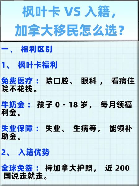 加拿大移民代理怎么选_加拿大移民代理费用多少