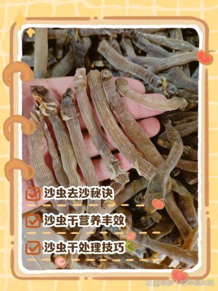 沙虫怎么清洗_沙虫干怎么泡发