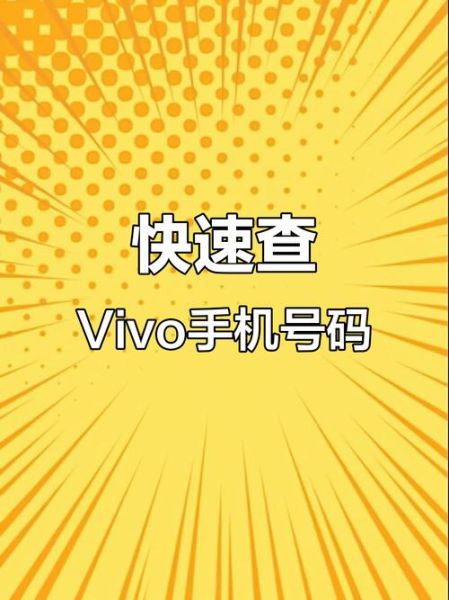 vivo手机怎么查真伪_vivo官网序列号查询入口