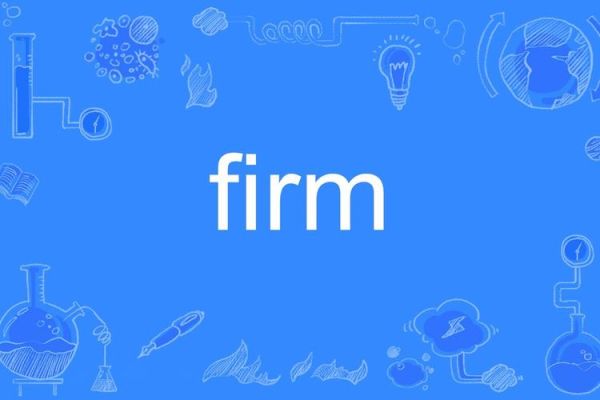 firm是什么意思_firm和company区别