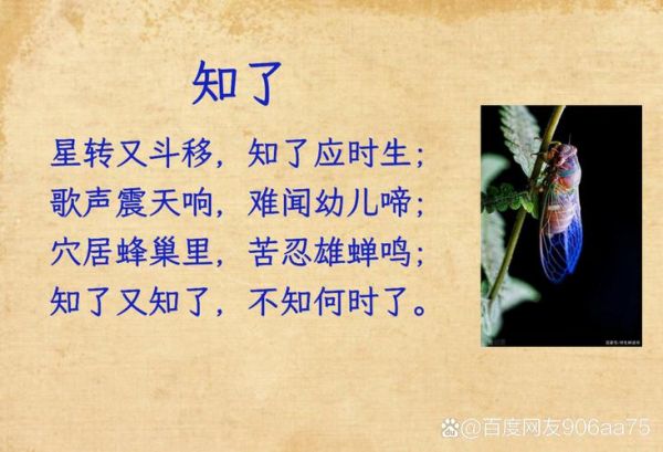 知了词语是什么意思_知了词语怎么造句