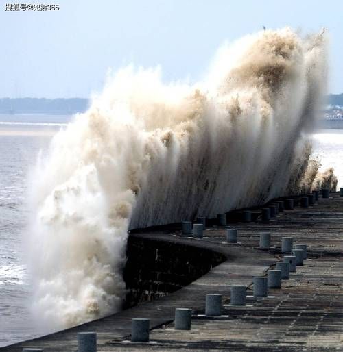 江潮来是什么意思_江潮来如何赏析