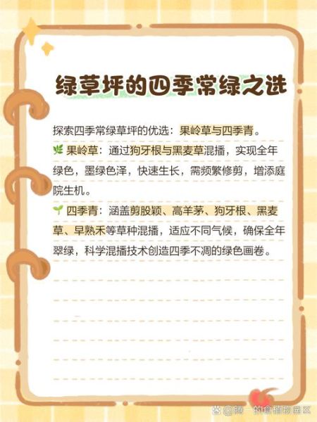 绿绿草的功效与作用_绿绿草怎么养