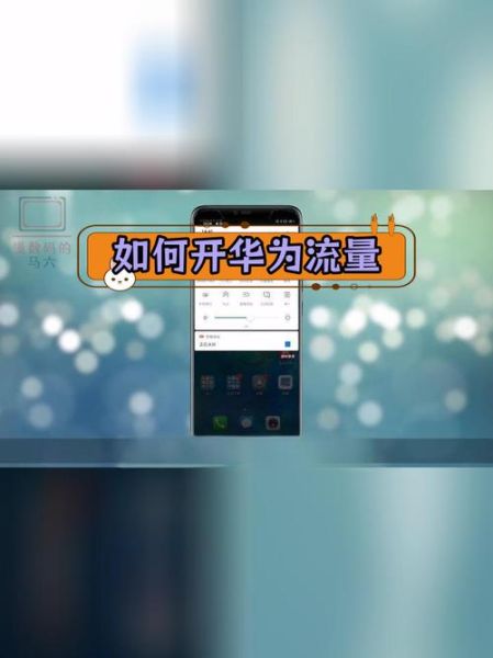 怎么查询手机流量_手机流量查询方法