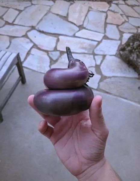 奇形怪状的东西叫什么_如何形容奇形怪状