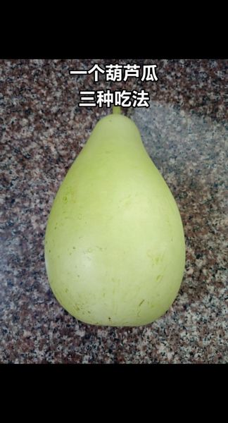 瓠瓜怎么炒好吃_瓠瓜的做法大全