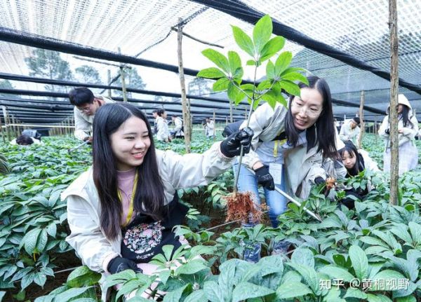 农村种什么最赚钱_一亩地能挣多少钱