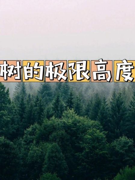 大树为什么长得高_大树如何形容茂盛