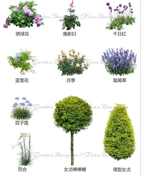 小区绿化植物怎么选_绿化公司哪家好