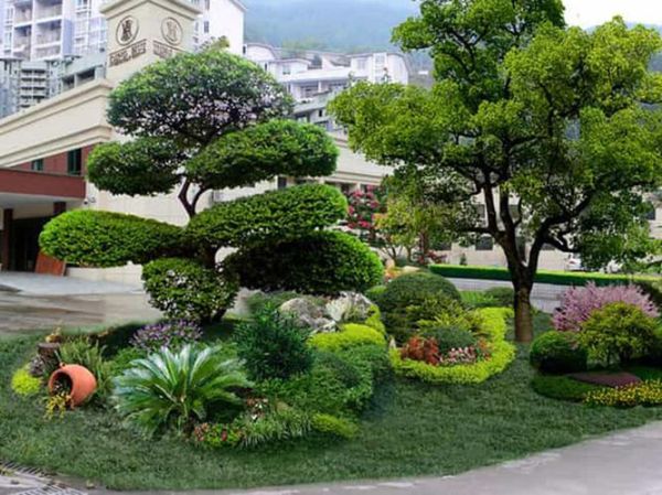 小区绿化植物怎么选_绿化公司哪家好