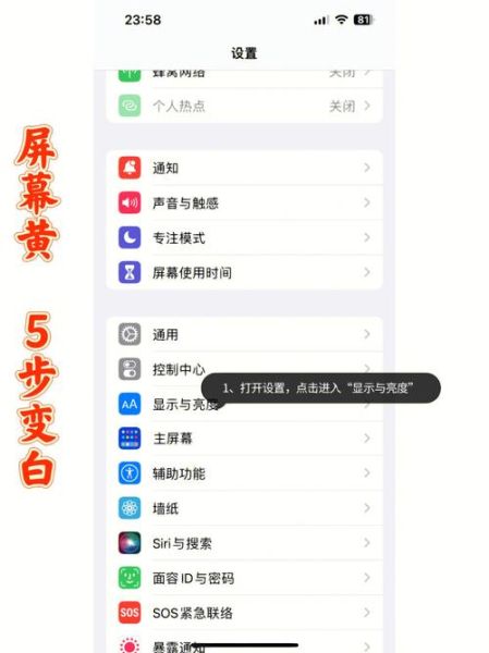 手机app怎么下载_安卓和iOS详细步骤