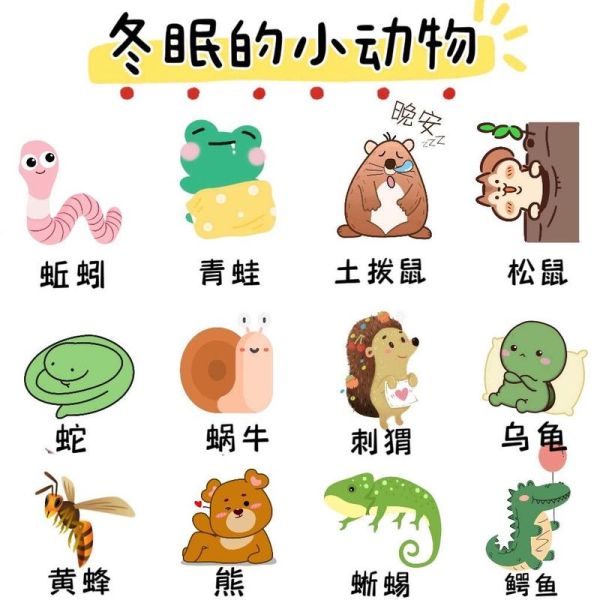 冬天动物怎么过冬_冬眠的动物有哪些