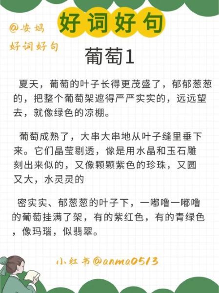 葡萄用哪个词语写作_葡萄写作怎么描写