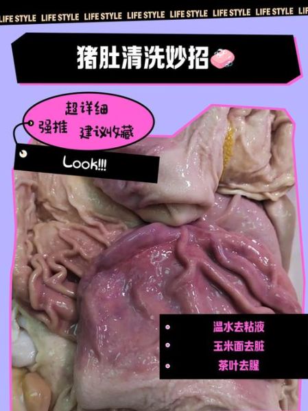猪肚怎么清洗才没腥味_猪肚的做法大全