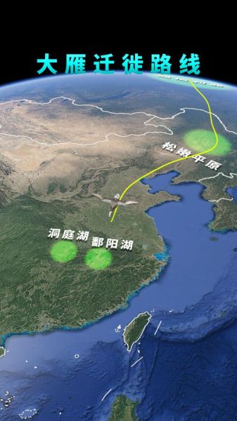 大雁南飞代表什么_大雁迁徙路线有哪些