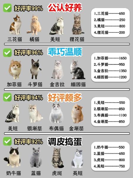 如何挑选优质猫粮_猫粮品牌哪个好