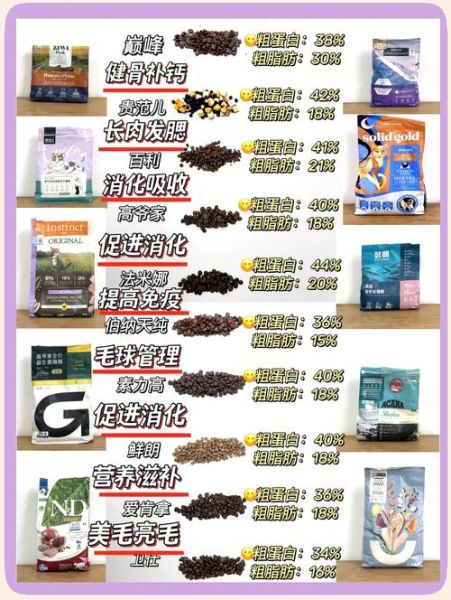 如何挑选优质猫粮_猫粮品牌哪个好