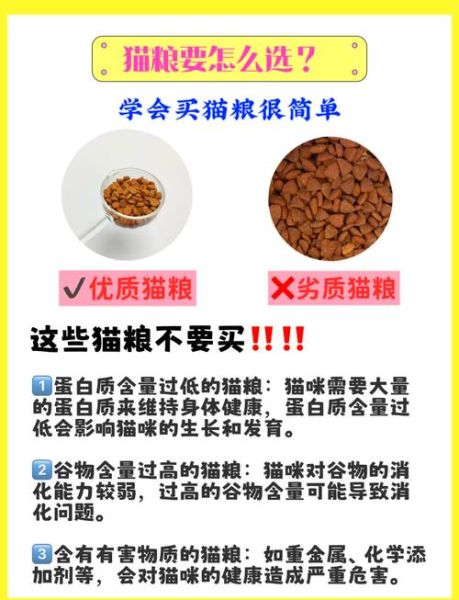 如何挑选优质猫粮_猫粮品牌哪个好